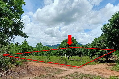 รูปที่ดินว่างเปล่า แม่ลาน ลี้ ลำพูน