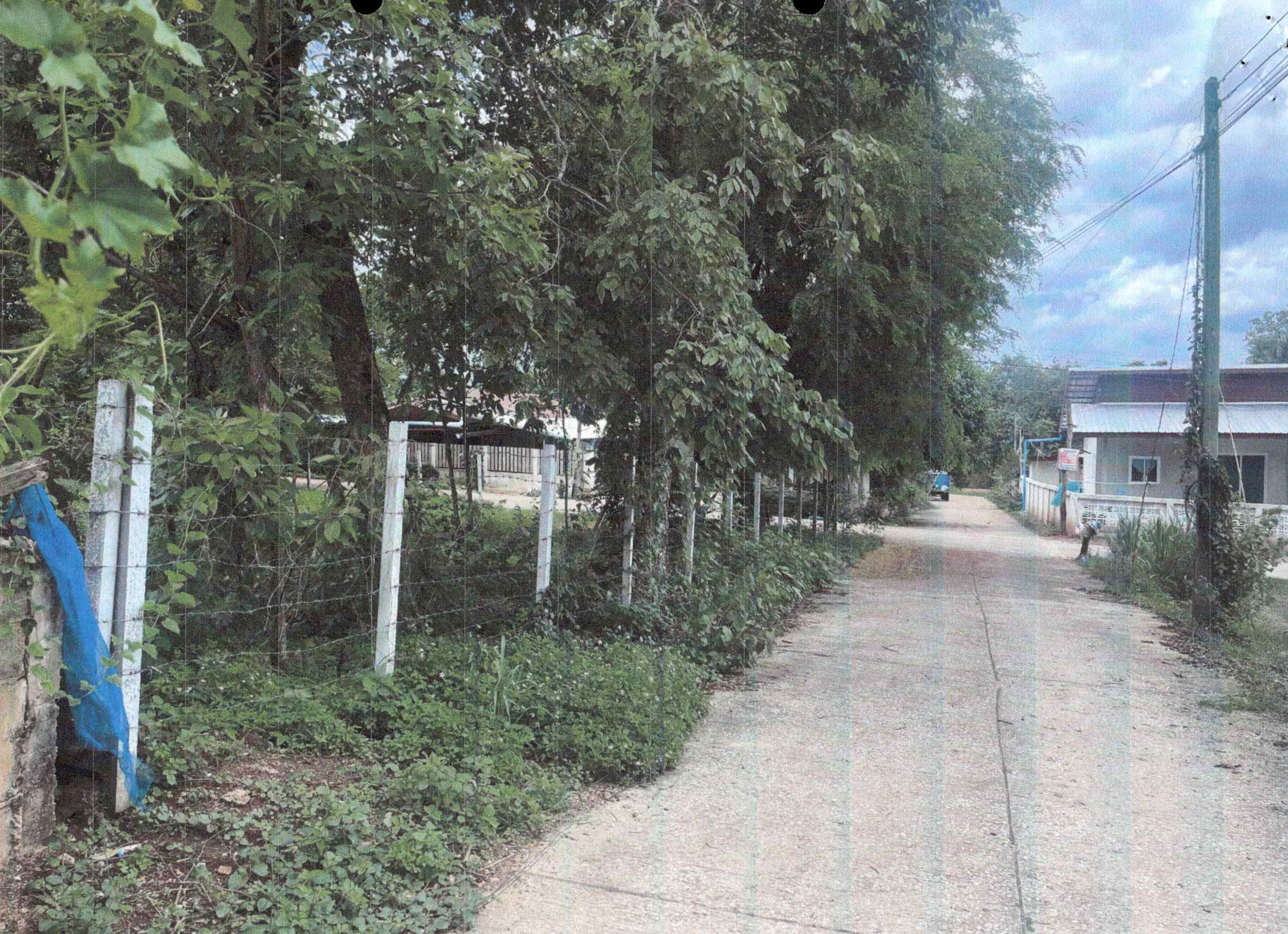 รูปที่ดินว่างเปล่า ท่าลี่ ท่าลี่ เลย