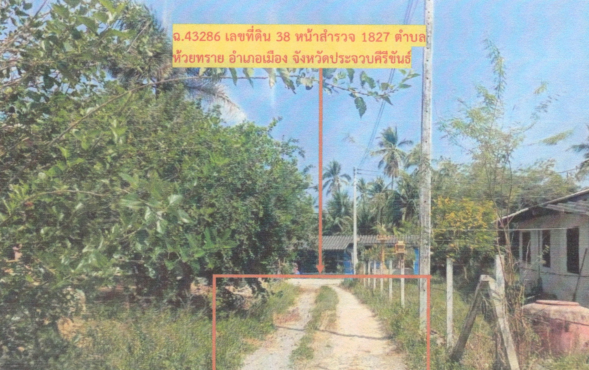 รูปที่ดินว่างเปล่า ห้วยทราย เมืองประจวบคีรีขันธ์ ประจวบคีรีขันธ์