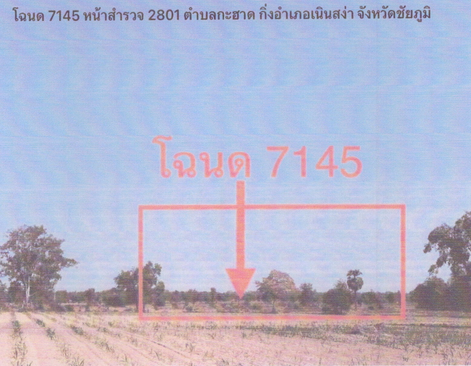 รูปที่ดินว่างเปล่า กะฮาด กิ่งอำเภอเนินสง่า ชัยภูมิ