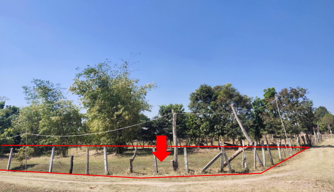 รูปที่ดินว่างเปล่า ชุมแสง กระสัง บุรีรัมย์