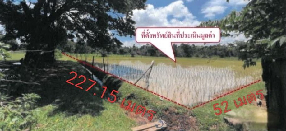 รูปที่ดินว่างเปล่า ตองโขบ โคกศรีสุพรรณ สกลนคร