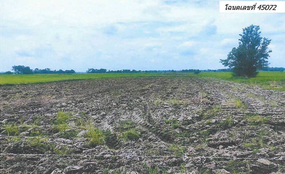 รูปที่ดินว่างเปล่า เกาะตาเลี้ยง ศรีสำโรง สุโขทัย