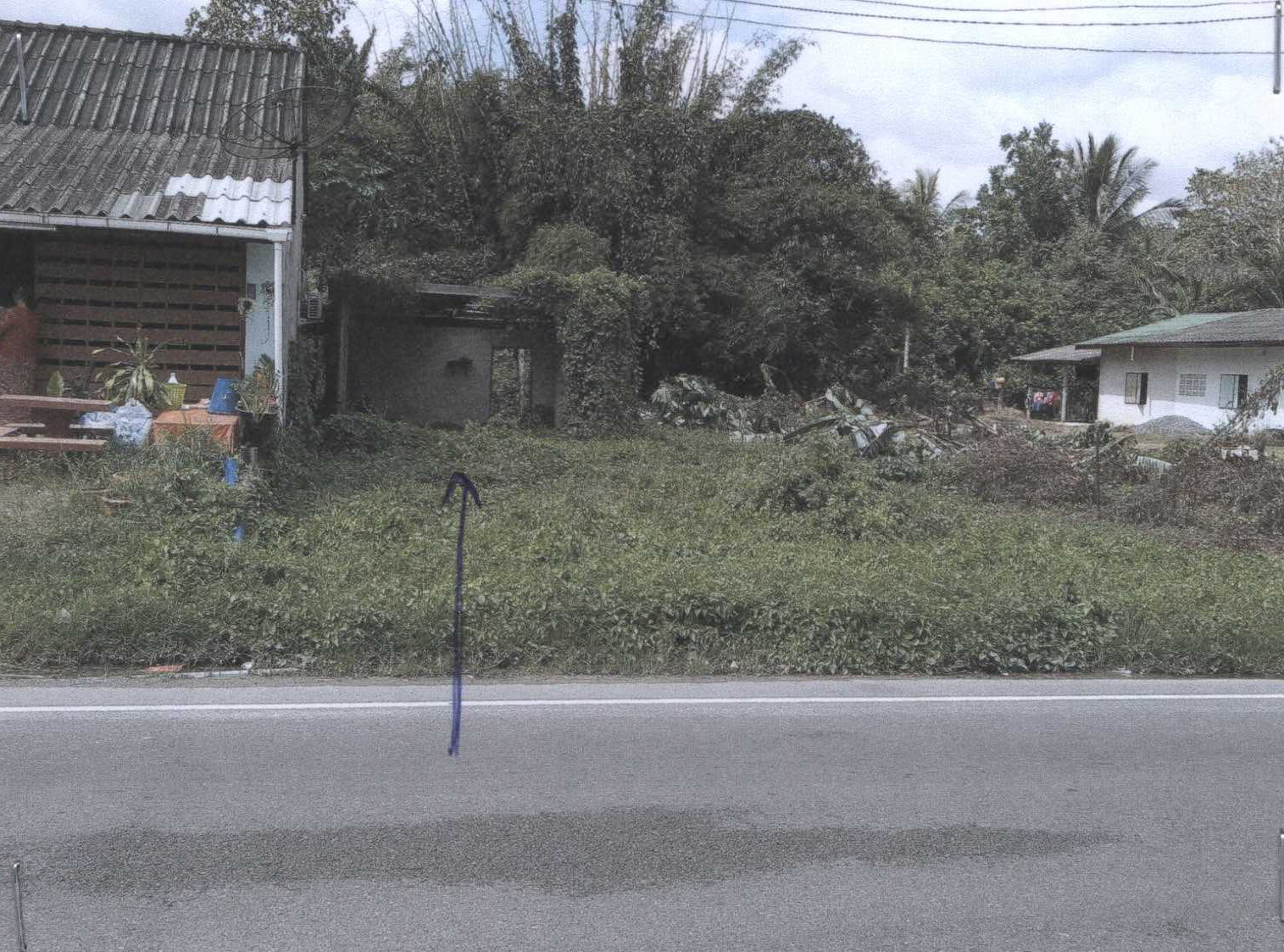 รูปที่ดินว่างเปล่า ทับปุด ทับปุด พังงา