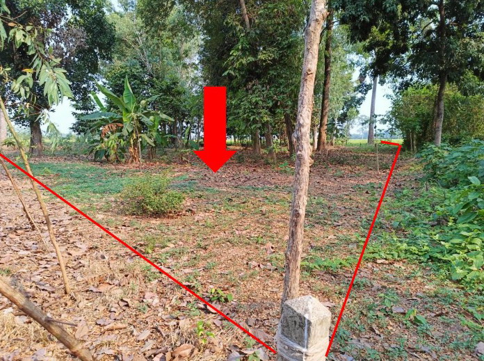 รูปที่ดินว่างเปล่า พรหมพิราม พรหมพิราม พิษณุโลก
