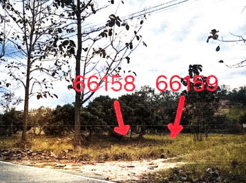 รูปที่ดินว่างเปล่า งิ้ว เทิง เชียงราย