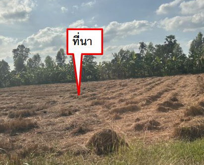 รูปที่ดินว่างเปล่า บางระจัน ค่ายบางระจัน สิงห์บุรี