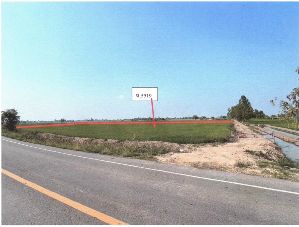 รูปที่ดินว่างเปล่า ไผ่ท่าโพ โพธิ์ประทับช้าง พิจิตร
