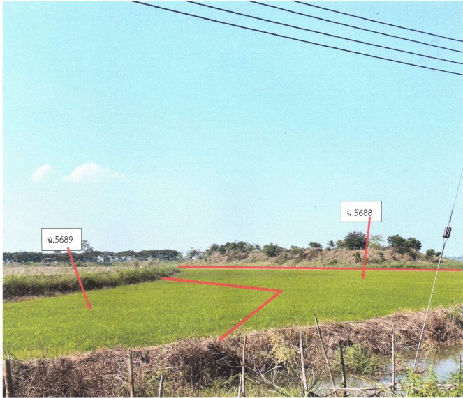 รูปที่ดินว่างเปล่า ไผ่ท่าโพ โพธิ์ประทับช้าง พิจิตร