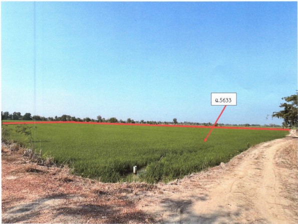 รูปที่ดินว่างเปล่า ไผ่ท่าโพ โพธิ์ประทับช้าง พิจิตร