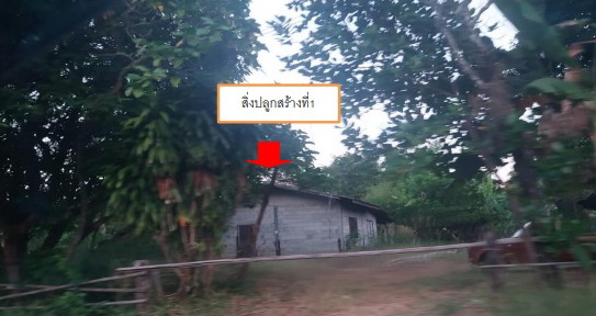 รูปที่ดินพร้อมสิ่งปลูกสร้าง คำสะอาด สว่างแดนดิน สกลนคร