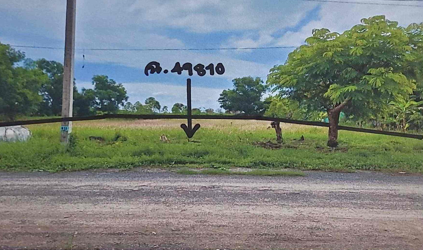 รูปที่ดินว่างเปล่า หนองสามวัง หนองเสือ ปทุมธานี