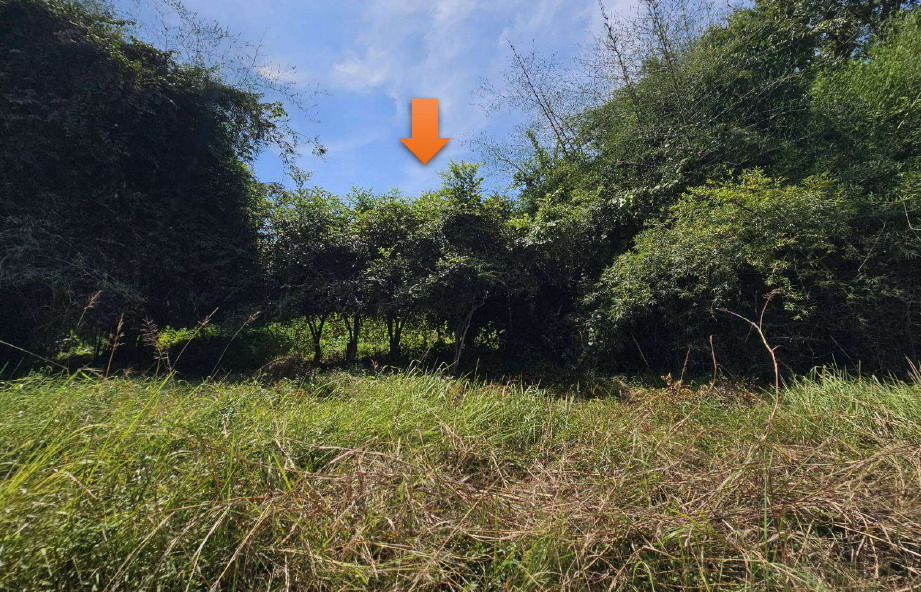 รูปที่ดินว่างเปล่า พอกน้อย พรรณานิคม สกลนคร