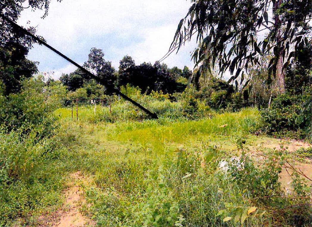รูปที่ดินว่างเปล่า หนองบัว กันทรารมย์ ศรีสะเกษ