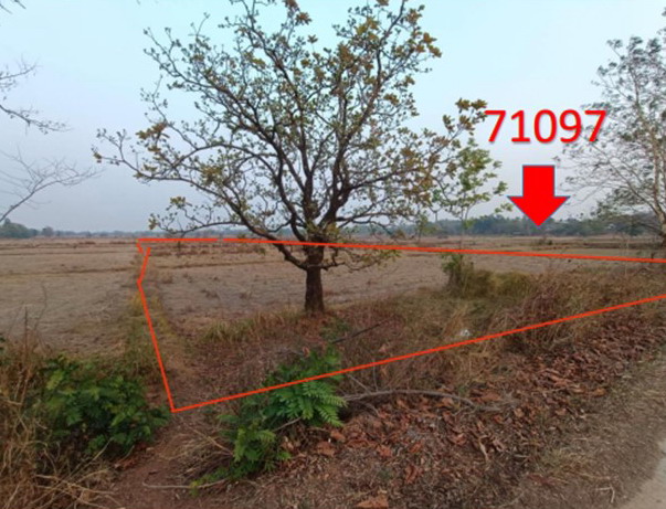 รูปที่ดินว่างเปล่า โพธิ์ตาก เมืองนครพนม นครพนม