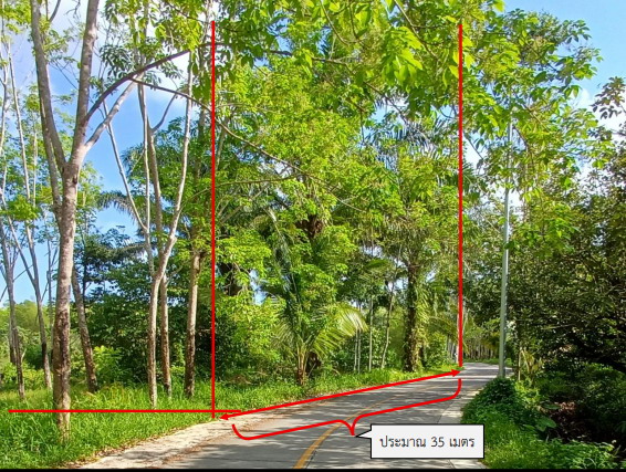 รูปที่ดินว่างเปล่า นาเรียง พรหมคีรี นครศรีธรรมราช