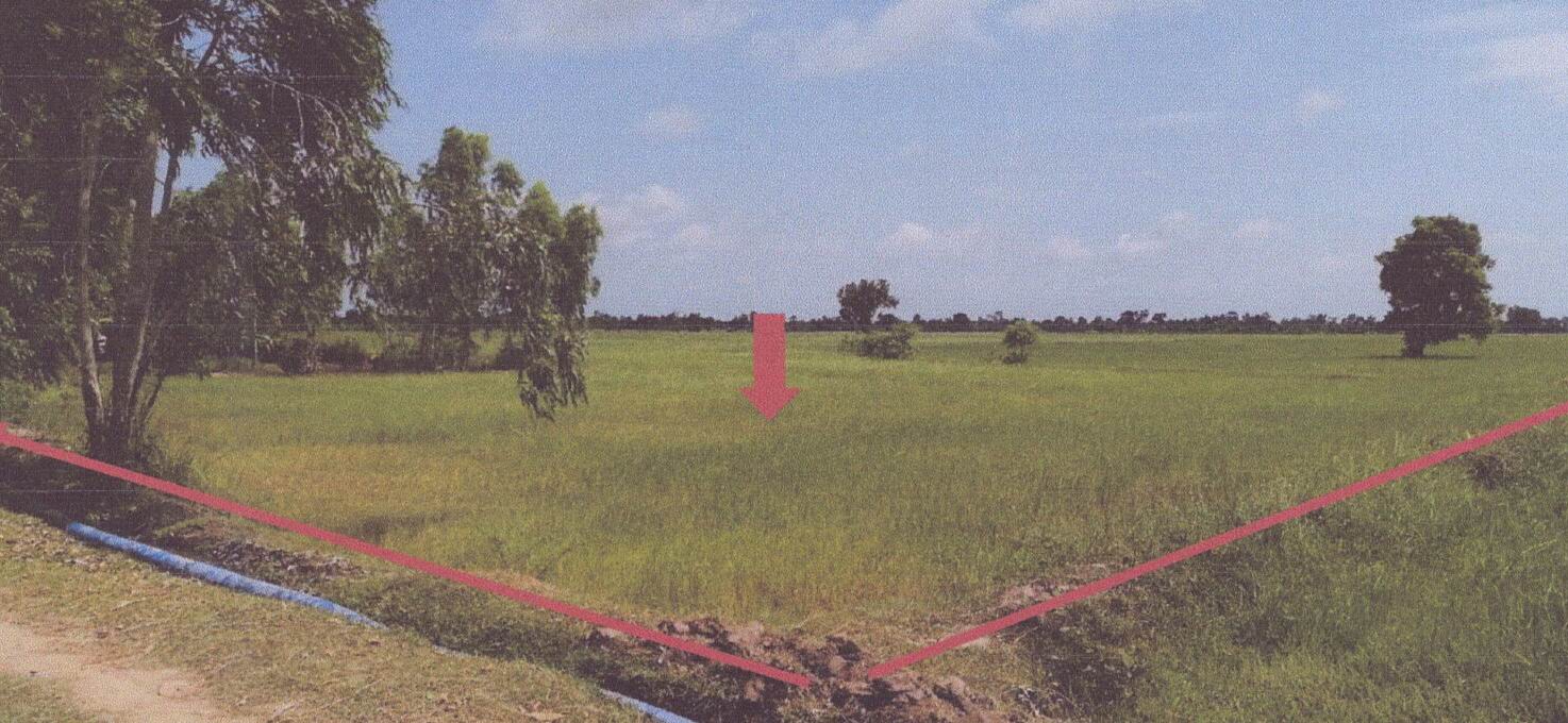 รูปที่ดินว่างเปล่า สำโรง เมืองสุรินทร์ สุรินทร์