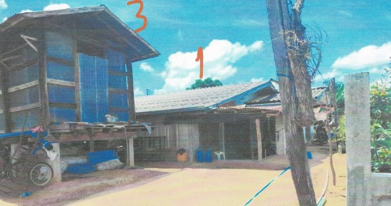 รูปที่ดินพร้อมสิ่งปลูกสร้าง บ้านยาง ลำปลายมาศ บุรีรัมย์