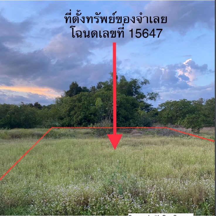 รูปที่ดินว่างเปล่า หนองบก เหล่าเสือโก้ก อุบลราชธานี