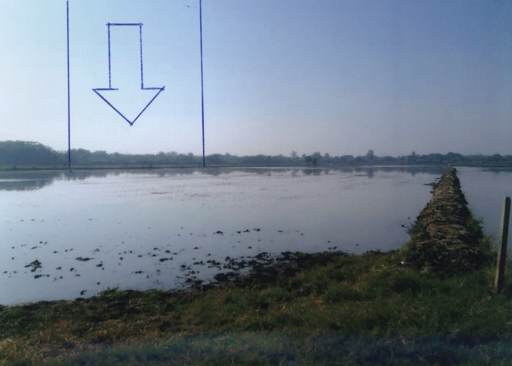 รูปที่ดินว่างเปล่า ทรายกองดิน มีนบุรี(เมือง) กรุงเทพมหานคร