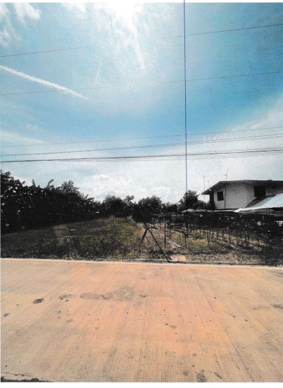 รูปที่ดินว่างเปล่า บ้านป่า เมืองพิษณุโลก พิษณุโลก