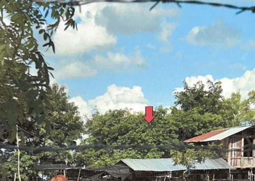 รูปที่ดินพร้อมสิ่งปลูกสร้าง โนนสวรรค์ ปทุมรัตต์ ร้อยเอ็ด