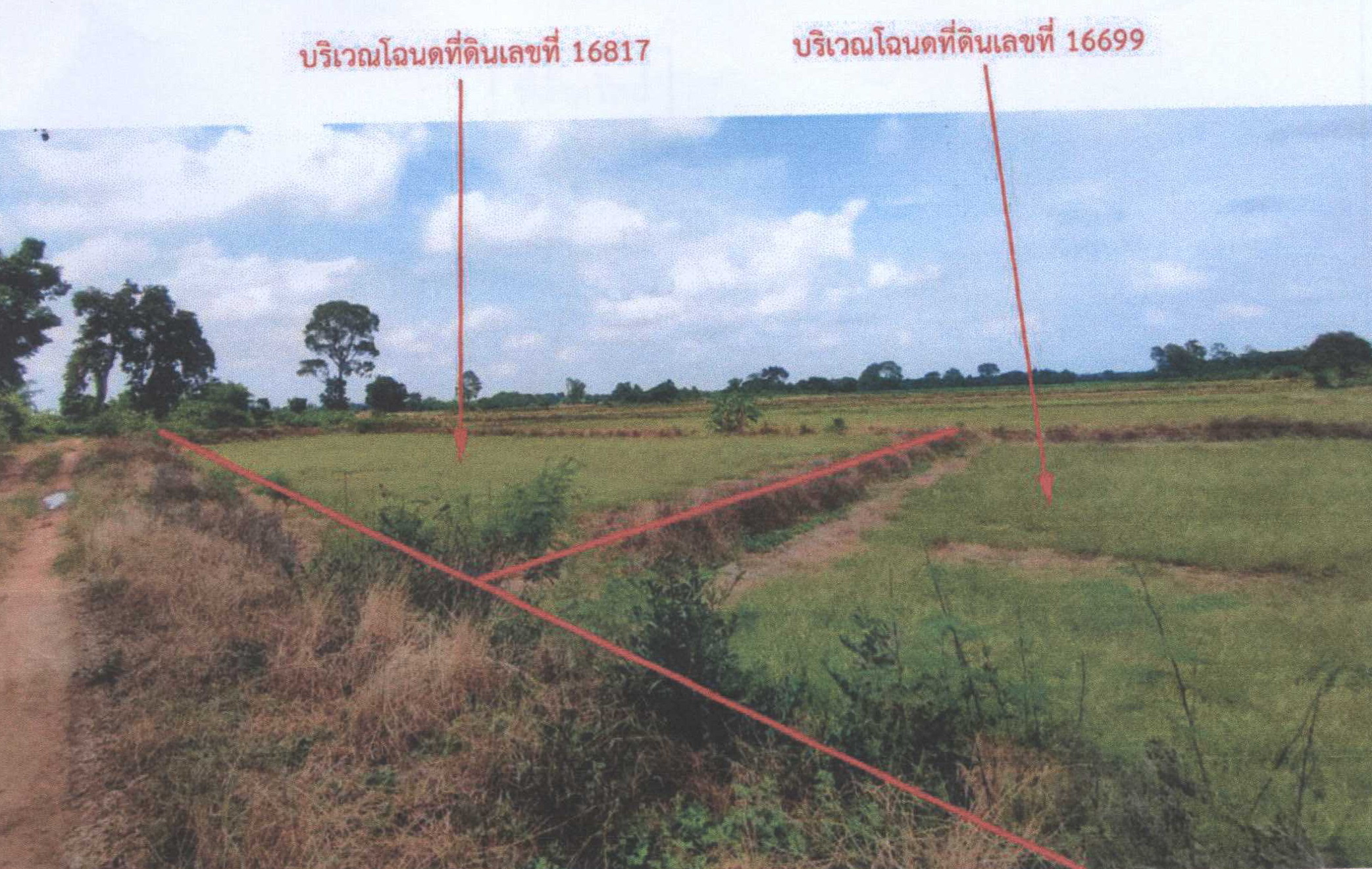รูปที่ดินว่างเปล่า หนองบัวน้อย สีคิ้ว นครราชสีมา