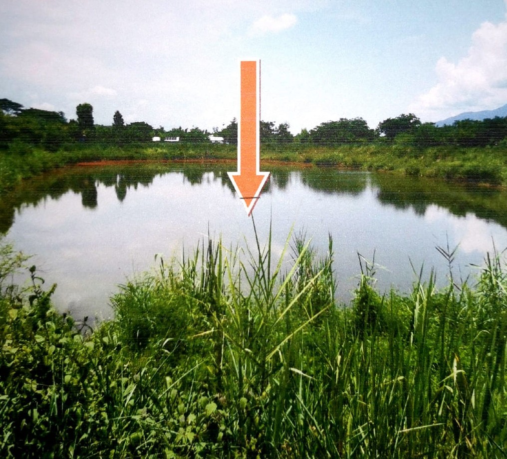 รูปที่ดินว่างเปล่า ห้วยทราย แม่ริม เชียงใหม่