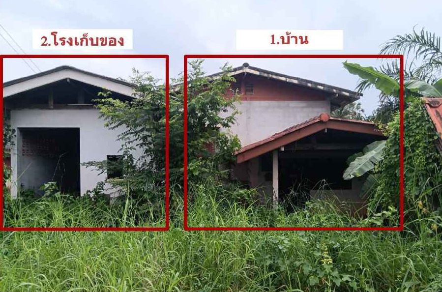 รูปที่ดินพร้อมสิ่งปลูกสร้าง ทุ่งกง กาญจนดิษฐ์ สุราษฎร์ธานี