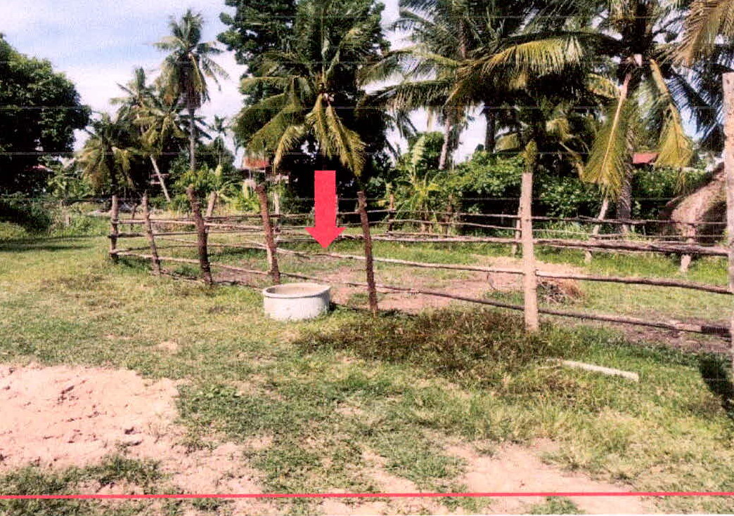 รูปที่ดินว่างเปล่า บัวหุ่ง ราษีไศล ศรีสะเกษ