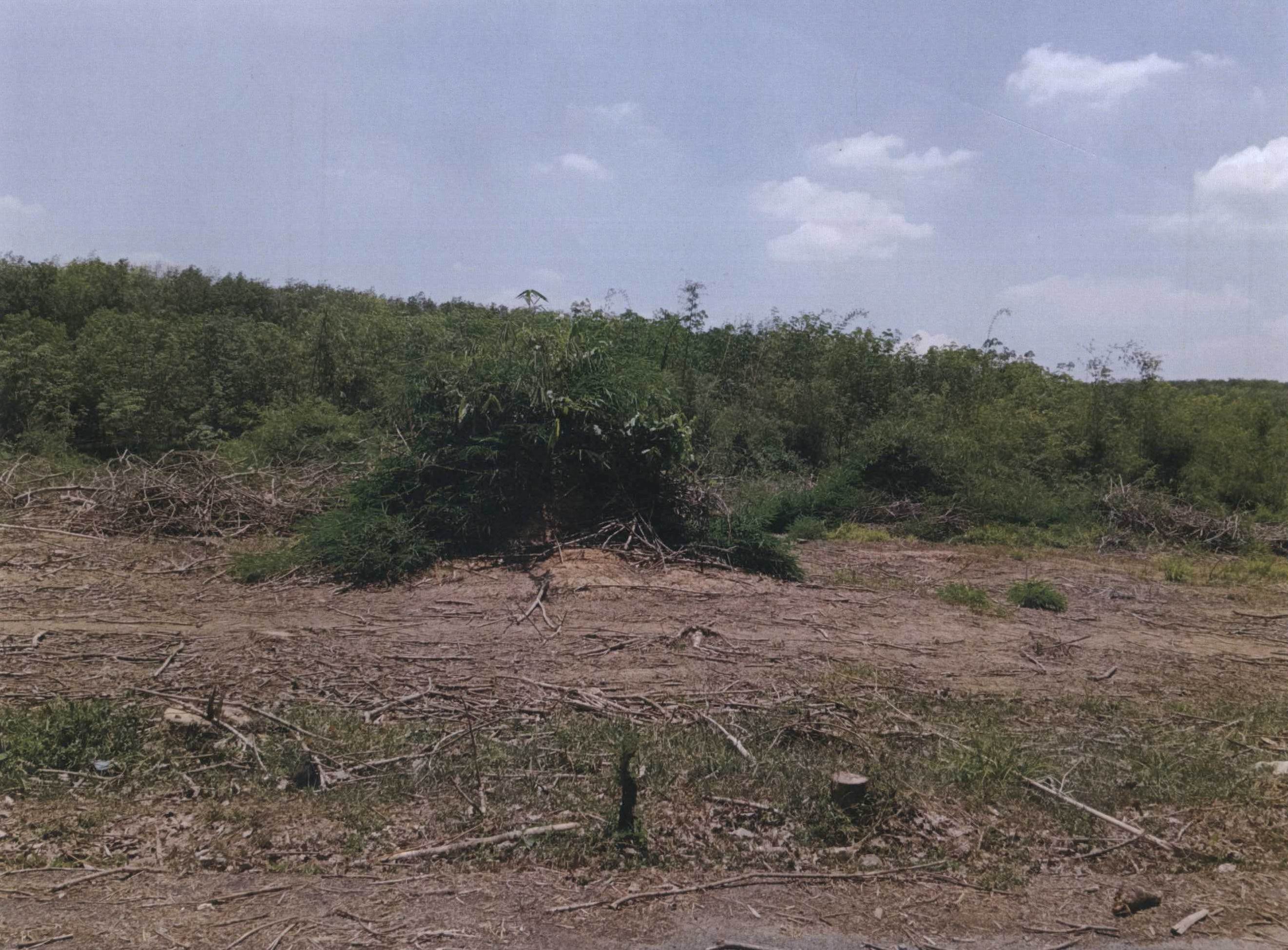 รูปที่ดินว่างเปล่า หนองหงส์ ทุ่งสง นครศรีธรรมราช