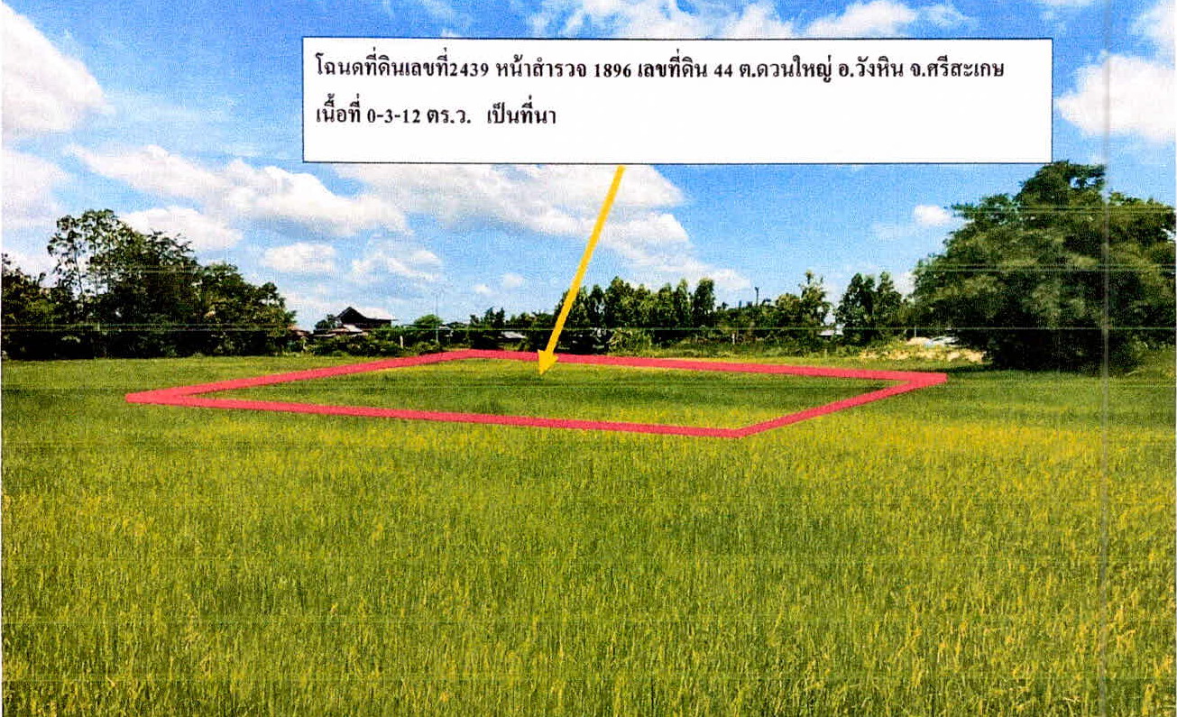 รูปที่ดินว่างเปล่า ดวนใหญ่ กิ่งอำเภอวังหิน ศรีสะเกษ