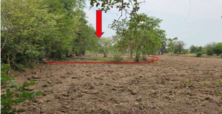รูปที่ดินว่างเปล่า ธารปราสาท โนนสูง นครราชสีมา