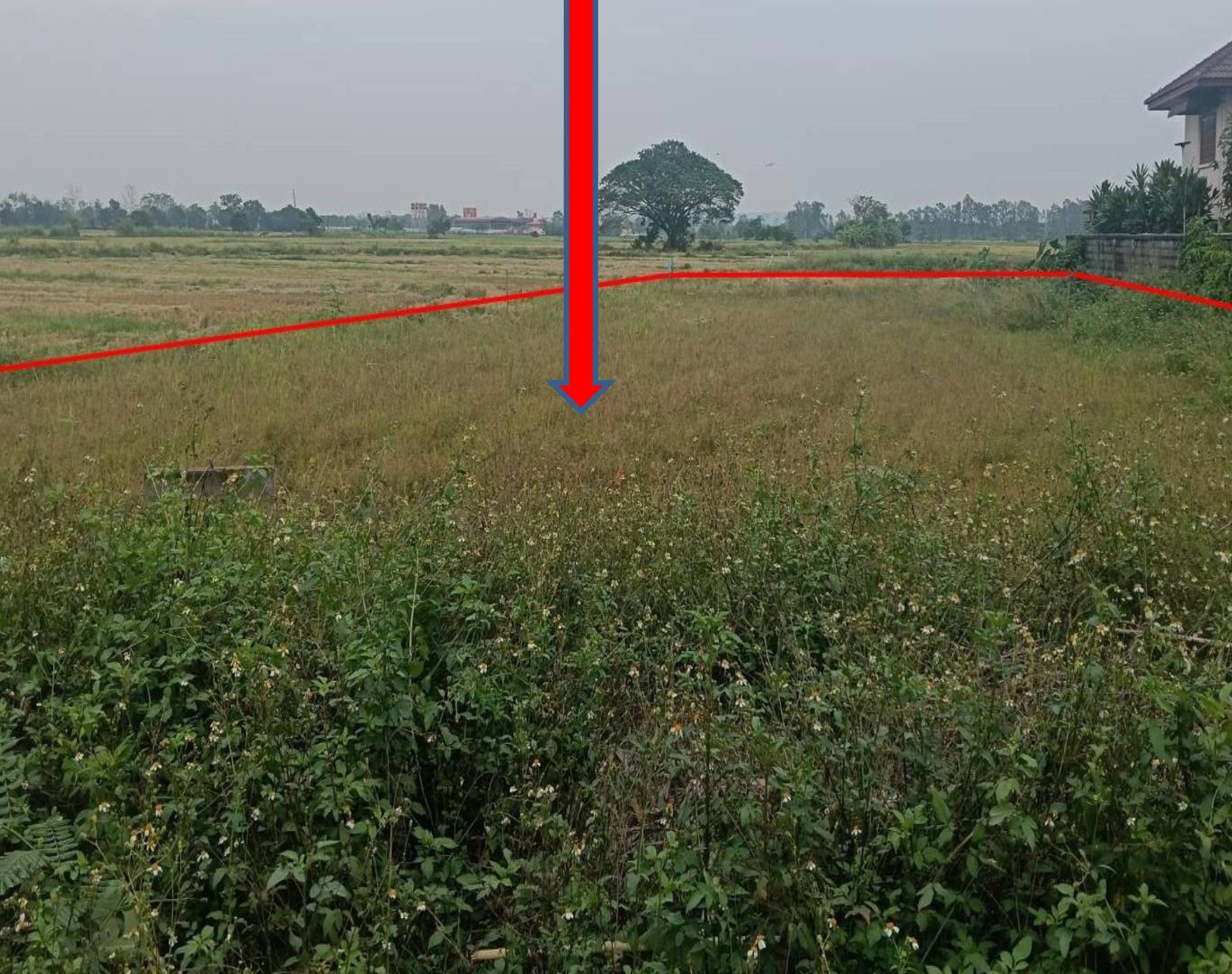 รูปที่ดินว่างเปล่า รอบเวียง เมืองเชียงราย เชียงราย