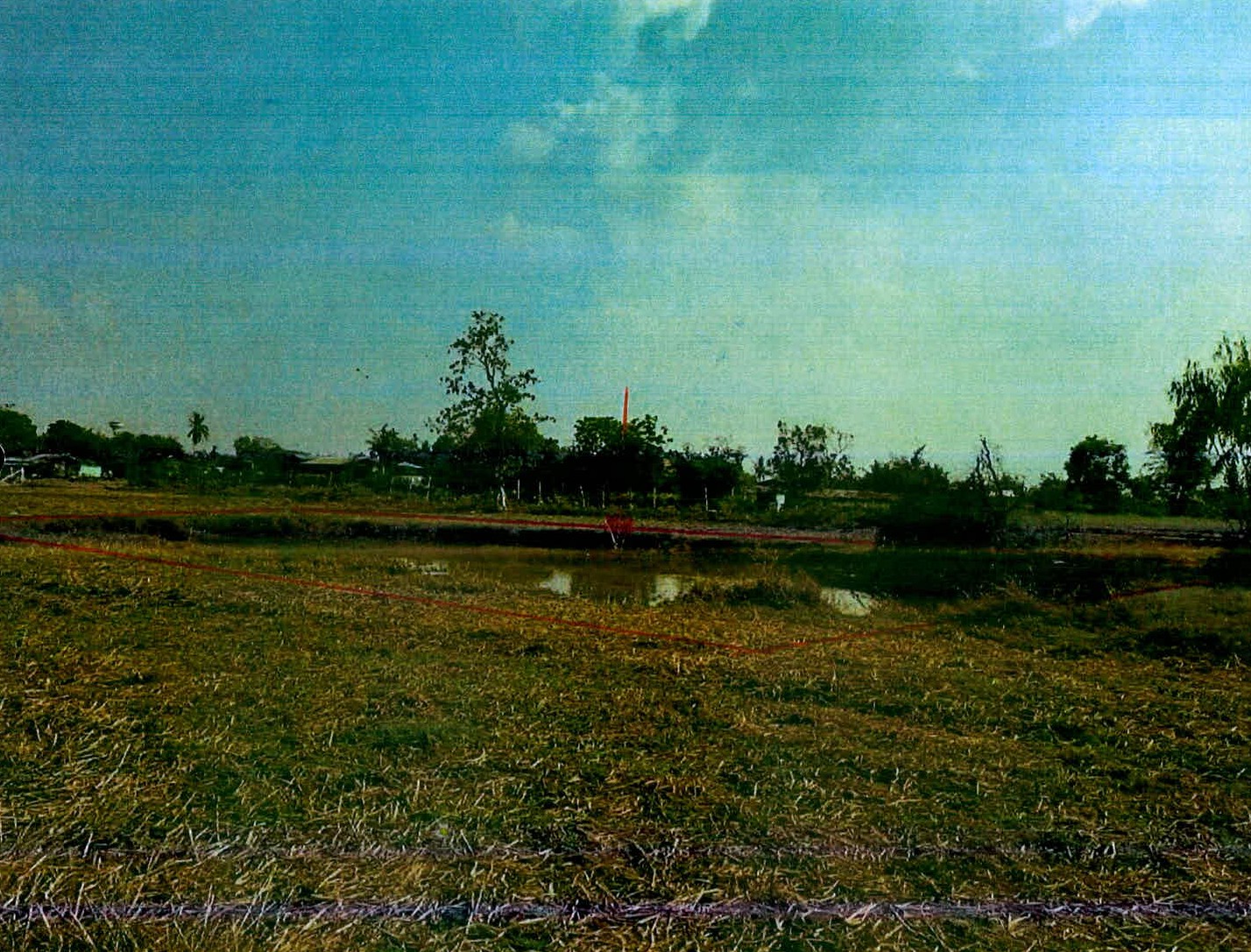 รูปที่ดินว่างเปล่า สลักได เมืองสุรินทร์ สุรินทร์