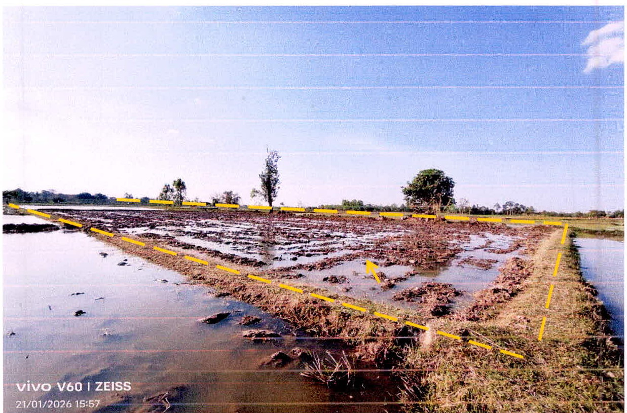 รูปที่ดินว่างเปล่า ปรือใหญ่ ขุขันธ์ ศรีสะเกษ