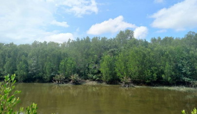 รูปที่ดินว่างเปล่า ท่าซัก เมืองนครศรีธรรมราช นครศรีธรรมราช