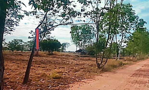 รูปที่ดินว่างเปล่า หนองแวง บ้านแพง นครพนม