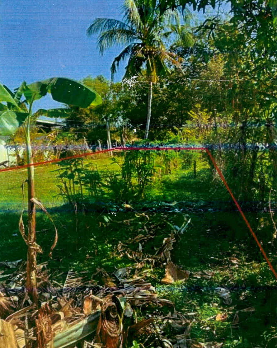 รูปที่ดินว่างเปล่า สำโรง เมืองสุรินทร์ สุรินทร์