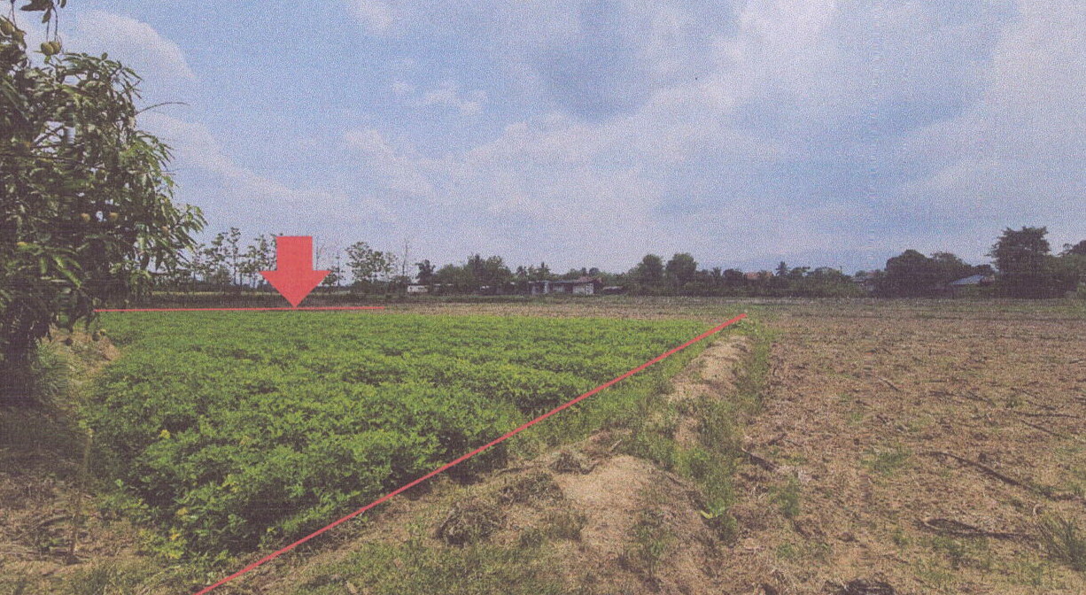 รูปที่ดินว่างเปล่า ป่าก่อดำ (เมืองเชียงราย) แม่ลาว เชียงราย