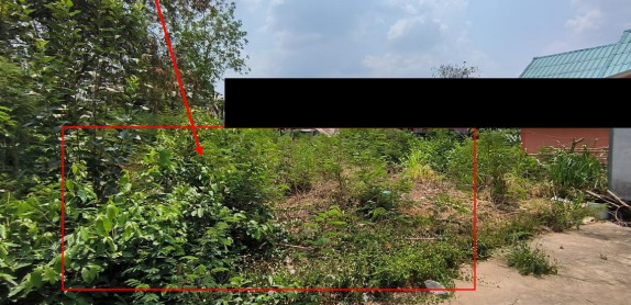 รูปที่ดินว่างเปล่า เขมราฐ เขมราฐ อุบลราชธานี