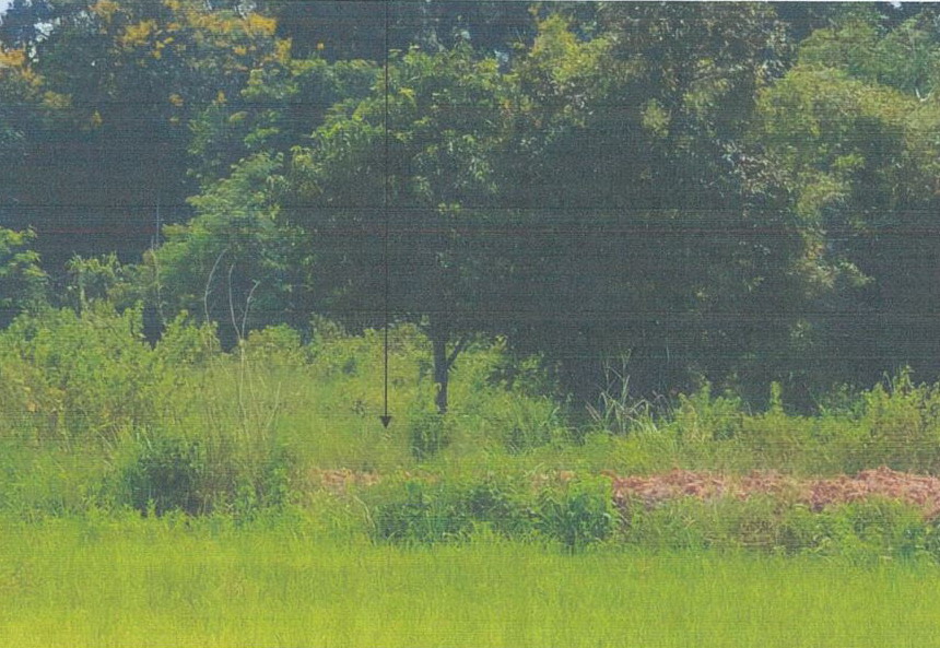 รูปที่ดินว่างเปล่า หนองเม็ก หนองหาน อุดรธานี