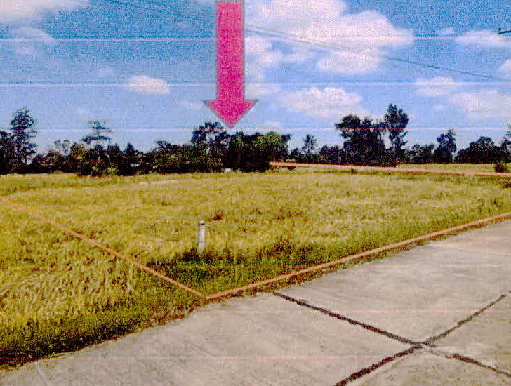 รูปที่ดินว่างเปล่า หัวเสือ ขุขันธ์ ศรีสะเกษ