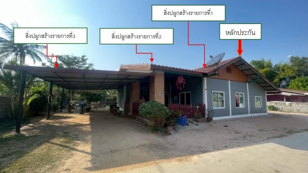 รูปที่ดินพร้อมสิ่งปลูกสร้าง ใหม่ โนนสูง นครราชสีมา