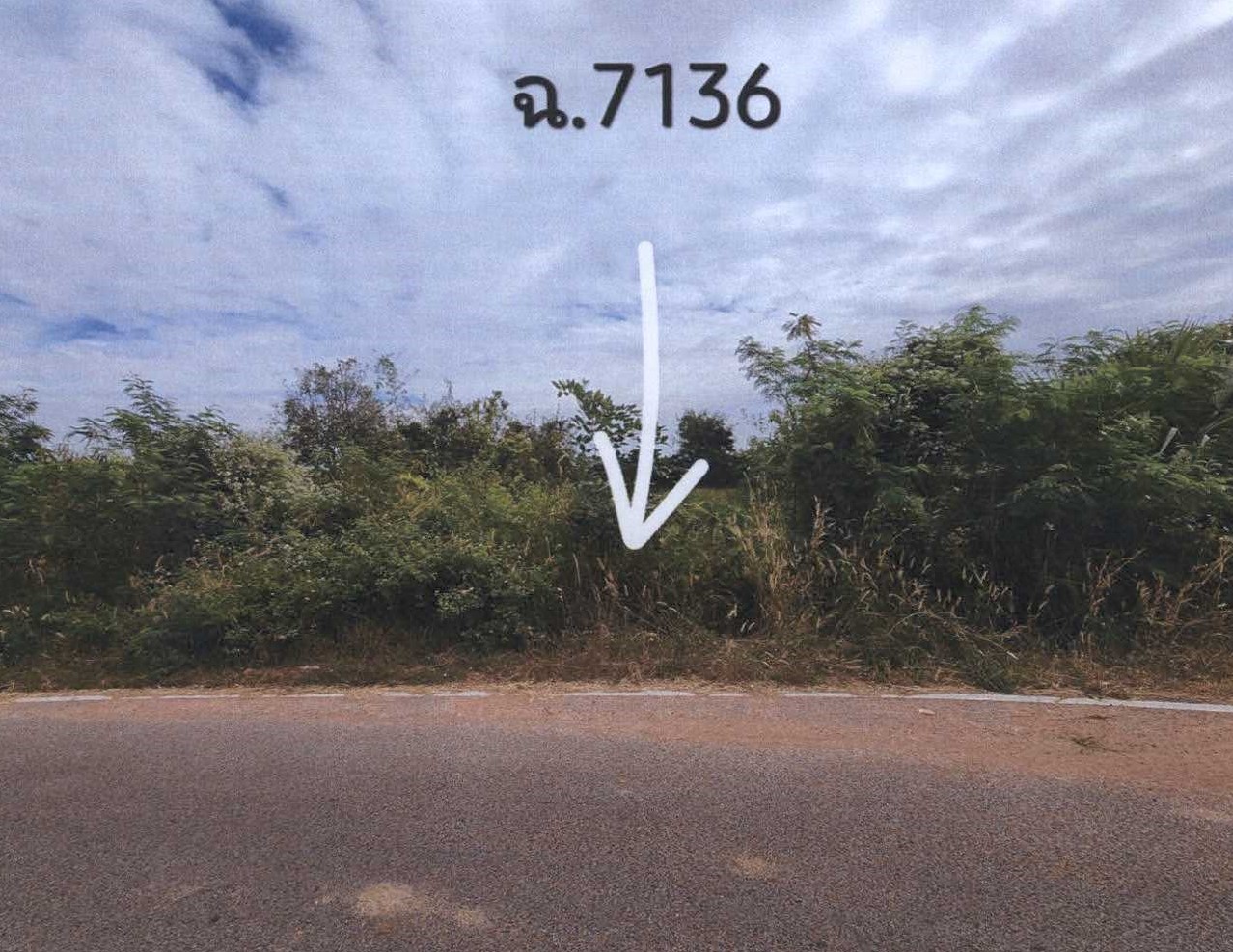 รูปที่ดินว่างเปล่า สีสุก จักราช นครราชสีมา