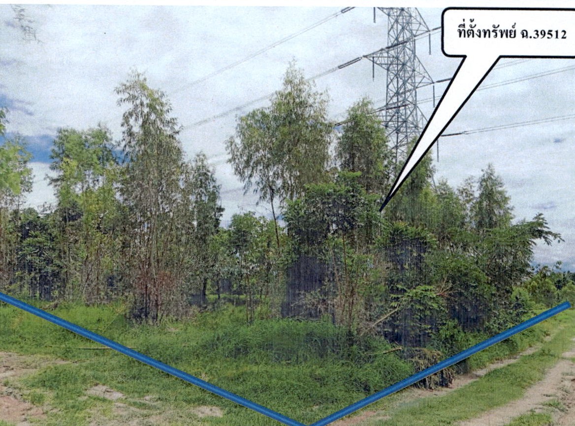 รูปที่ดินว่างเปล่า แม่ทะ แม่ทะ ลำปาง