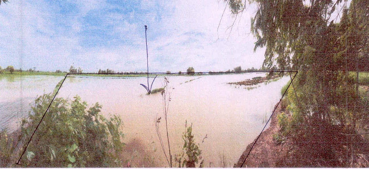 รูปที่ดินว่างเปล่า เมืองแคน ราษีไศล ศรีสะเกษ