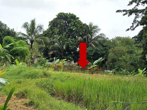 รูปที่ดินว่างเปล่า ลำปาว เมืองกาฬสินธุ์ กาฬสินธุ์