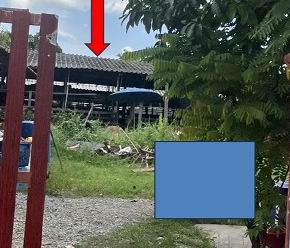รูปที่ดินพร้อมสิ่งปลูกสร้าง วังเย็น บางแพ ราชบุรี