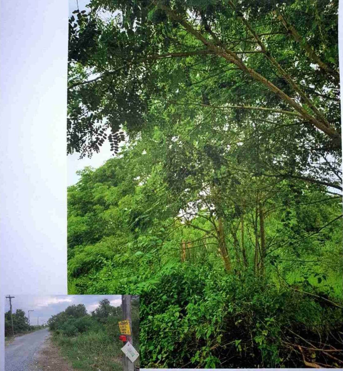 รูปที่ดินว่างเปล่า หนองสามวัง หนองเสือ ปทุมธานี